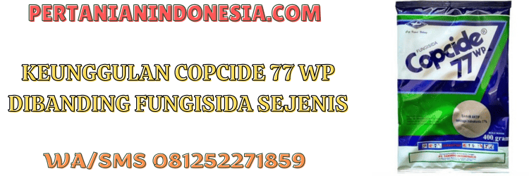 keunggulan,kelebihan,pestisida,pestisida jenis fungisida,pertanian indonesi